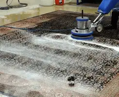 Professional rug cleaning with a rotary floor machine and shampoo foam, deep-cleaning an area rug, in Dover, DE.