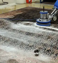 Professional rug cleaning with a rotary floor machine and shampoo foam, deep-cleaning an area rug Dover, DE.